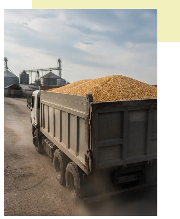 Перевозка сельхозпродукции навалом в Моршанск по цене от 3116 р. | Агросервис-Мрш